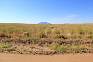 71537702 Lot from Road