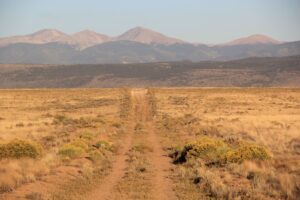 WhatsApp Image 2025-12-19 at 3.49.11 AM (1)