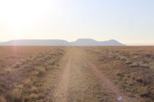 WhatsApp Image 2025-12-19 at 3.49.11 AM (2)