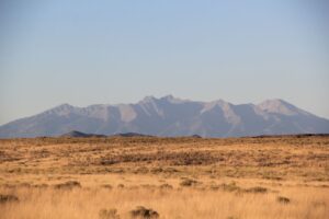 WhatsApp Image 2025-12-19 at 3.49.11 AM (3)