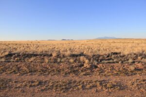 WhatsApp Image 2025-12-19 at 3.49.11 AM