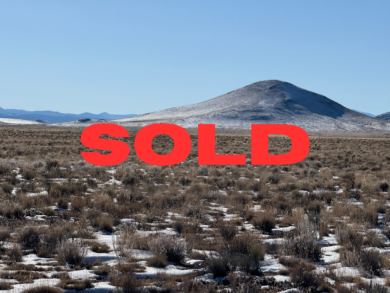 Sold (1)