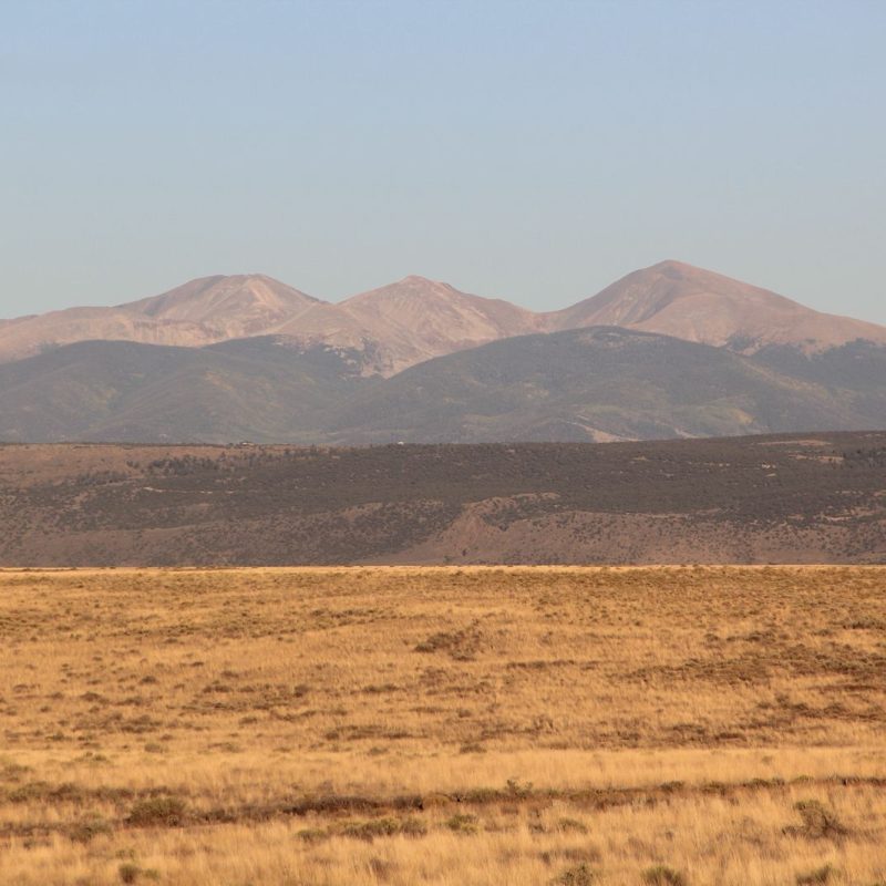 WhatsApp Image 2025-12-19 at 3.49.10 AM