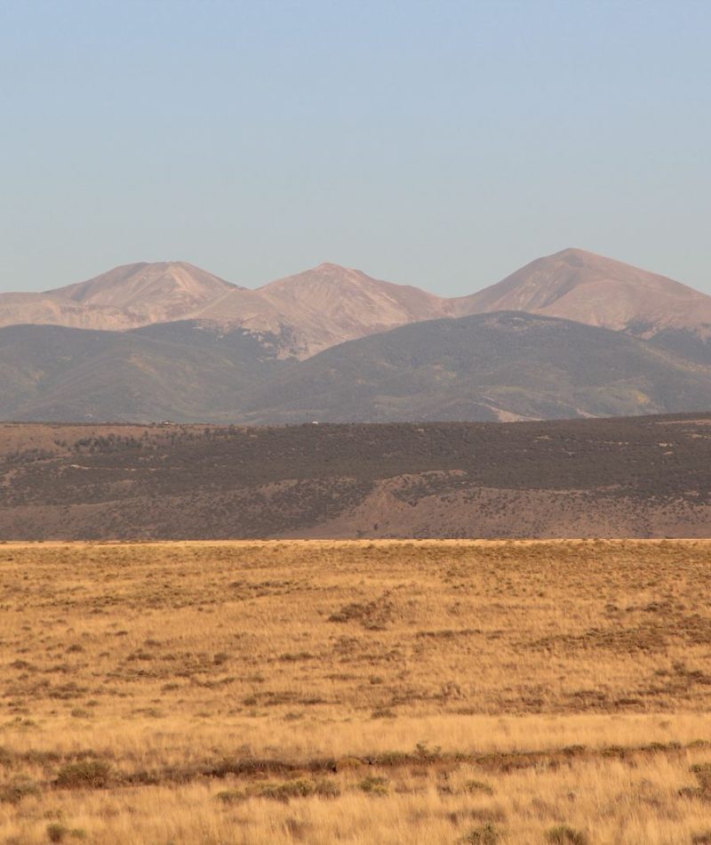 WhatsApp Image 2025-12-19 at 3.49.10 AM